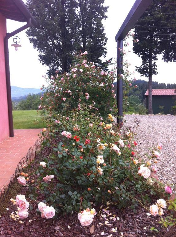 Azienda Agrituristica Bellavista Villa Montespertoli Exterior photo